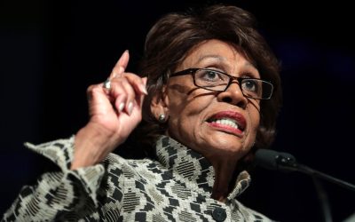 Maxine Waters wants to have Trump supporters investigated for this insane reason
